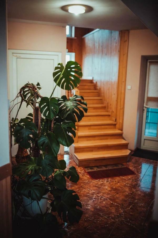 Дідів Рай Hotel Volovăţ Exterior foto